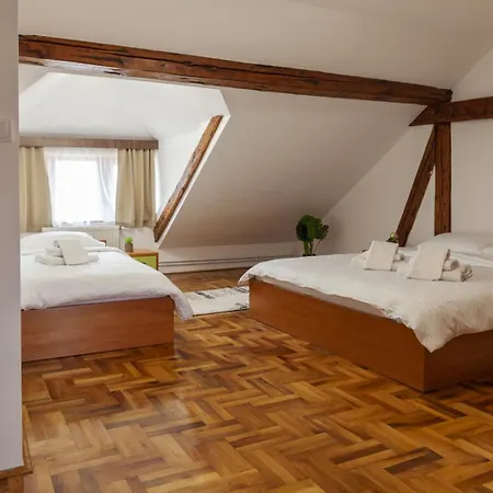 Oda ve Kahvaltı Prenociste Omega Luxury Čačak